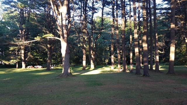 Motor Court Catskill